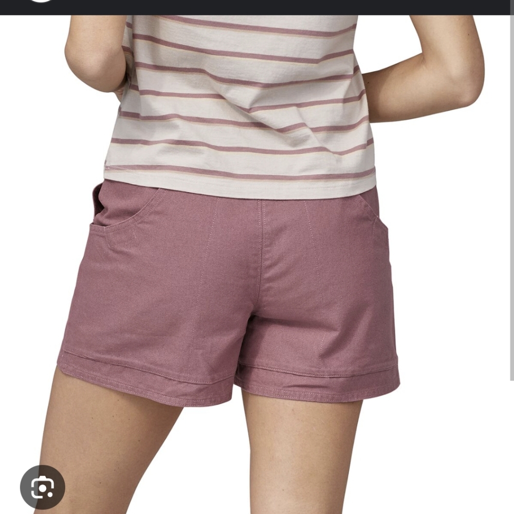 Patagonia Shorts NWT